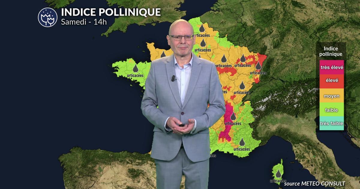 Pollens : alerte maximale à l'ambroisie dans l'Est et le Sud-Est tandis que la pluie soulage le nord-ouest