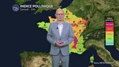 Pollens : alerte maximale à l'ambroisie dans l'Est et le Sud-Est tandis que la pluie soulage le nord-ouest