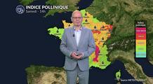 Pollens : alerte maximale à l'ambroisie dans l'Est et le Sud-Est tandis que la pluie soulage le nord-ouest
