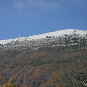 Jonchères 24/11/2010