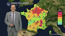 Alerte rouge aux pollens dimanche : l'ambroisie et les urticacées très présents sur la moitié nord et l'est du pays