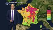 Alerte pollens : l'ambroisie et les urticacées très présents dans l'air du Nord au Grand Est avec un risque maximal