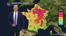 Alerte pollens : l'ambroisie et les urticacées très présents dans l'air du Nord au Grand Est avec un risque maximal
