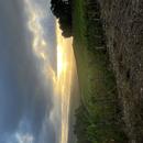 Celles-sur-Ource 31/08/2026