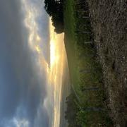 Celles-sur-Ource 31/08/2026