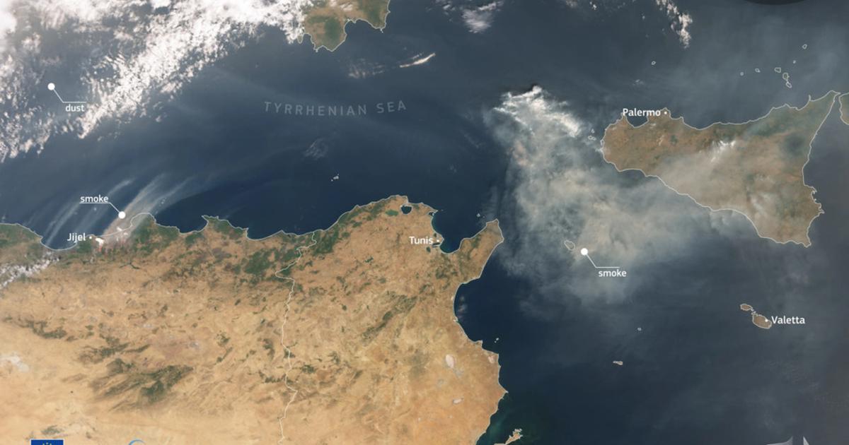 Incendies meurtriers en Méditerranée : chaleur extrême et sirocco ont attisé les flammes