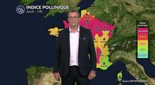 Bulletin pollen pour jeudi : la chaleur provoque un pic d'ambroisie et d'urticacées