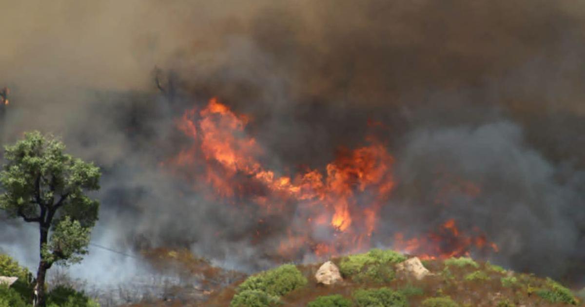 Incendies en Europe : plus de 600 000 hectares déjà brûlés en 2026