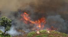 Incendies en Europe : plus de 600 000 hectares déjà brûlés en 2026