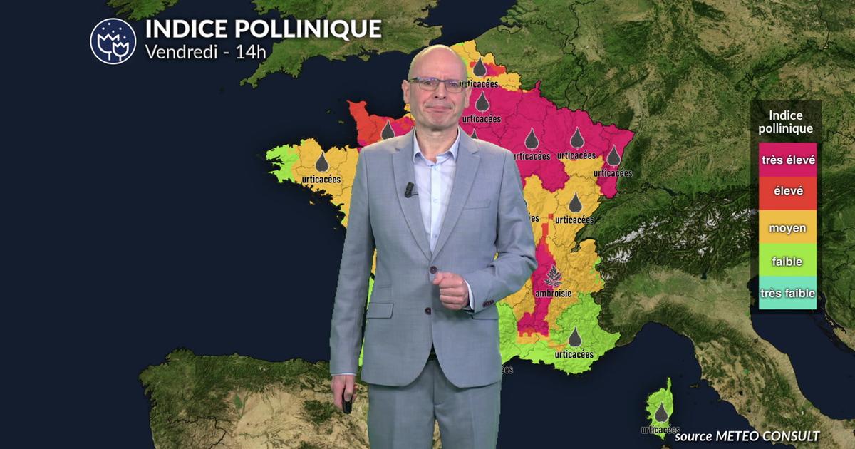 Allergies et pollens pour vendredi : alerte rouge du nord au sud-est