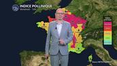 Allergies et pollens pour vendredi : vigilance rouge du nord au sud-est