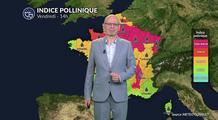 Allergies et pollens pour vendredi : vigilance rouge du nord au sud-est