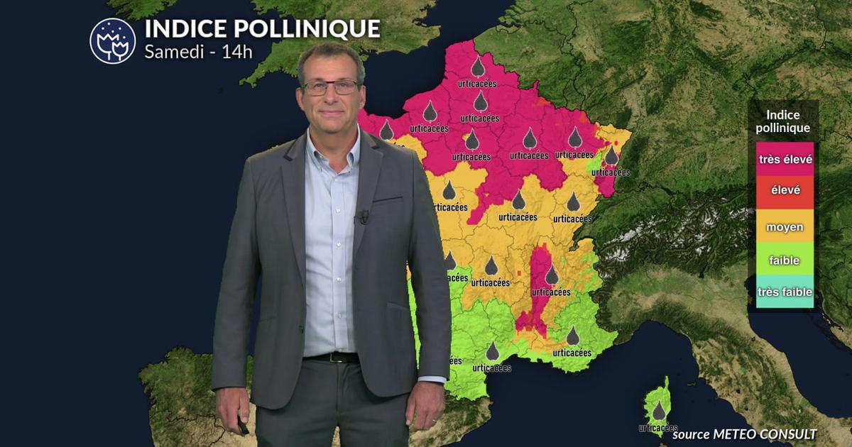 Bulletin pollinique pour ce week-end : des concentrations en pollens très élevés sur un tiers nord