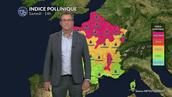 Bulletin pollinique pour ce week-end : des concentrations en pollens très élevés sur un tiers nord