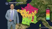 Alerte maximale dans le Nord et l'Est : la canicule à 40°C explose les taux d'ambroisie et d'urticacées