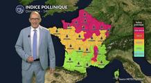 Alerte maximale dans le Nord et l'Est : la canicule à 40°C explose les taux d'ambroisie et d'urticacées