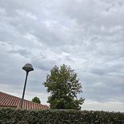 Izon 06/09/2026