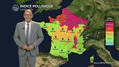 Alerte maximale à l'ambroisie et aux urticacées dans l'est et le nord sous la chaleur