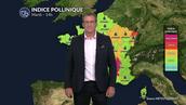 Bulletin pollinique pour mardi : amélioration par le nord-ouest avec le retour de la pluie