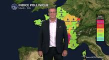 Bulletin pollinique pour mardi : amélioration par le nord-ouest avec le retour de la pluie