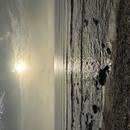 Agde 07/09/2026