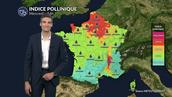 Pollens et allergies ce mercredi : l'ambroisie et les urticacées encore présents au nord et dans la vallée du Rhône