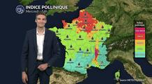 Pollens et allergies ce mercredi : l'ambroisie et les urticacées encore présents au nord et dans la vallée du Rhône