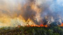 Canicules, incendies, pollution : l’été 2026 illustre l’effet domino du réchauffement