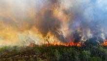 Canicules, incendies, pollution : l’été 2026 illustre l’effet domino du réchauffement