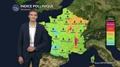 Pollens et allergies : l'ambroisie bien présente dans la vallée du Rhône ce vendredi