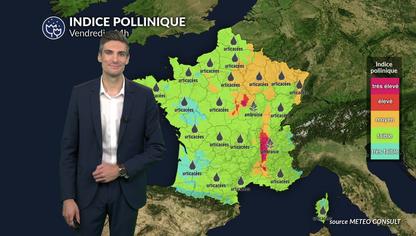 Pollens et allergies : l'ambroisie bien présente dans la vallée du Rhône ce vendredi