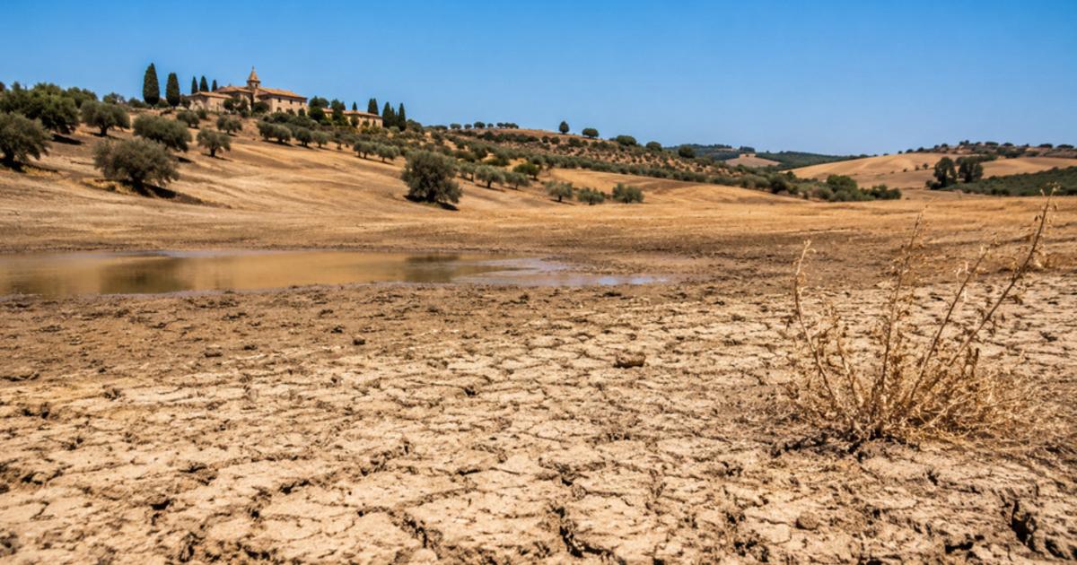 Sécheresse : pourquoi les pluies contournent la France jusqu’à fin septembre
