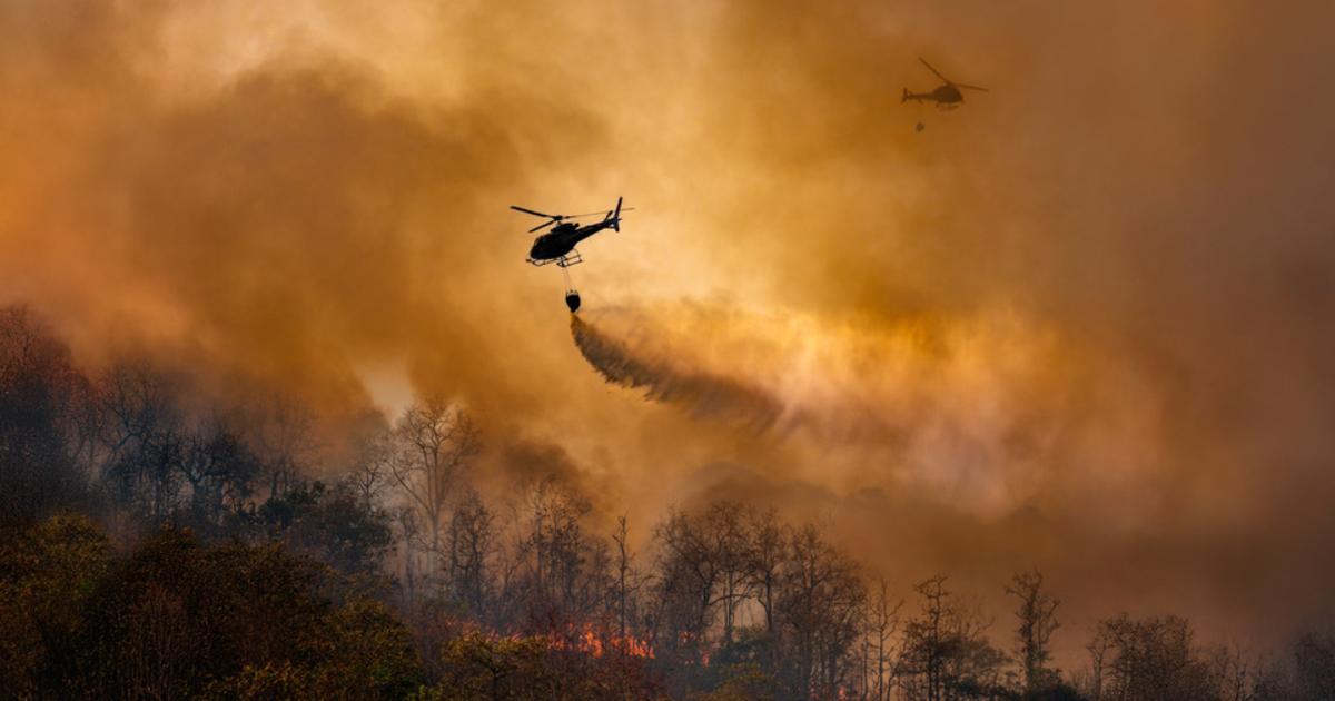 Après l’été 2026, Ursula von der Leyen veut préparer l’Europe aux canicules et aux incendies