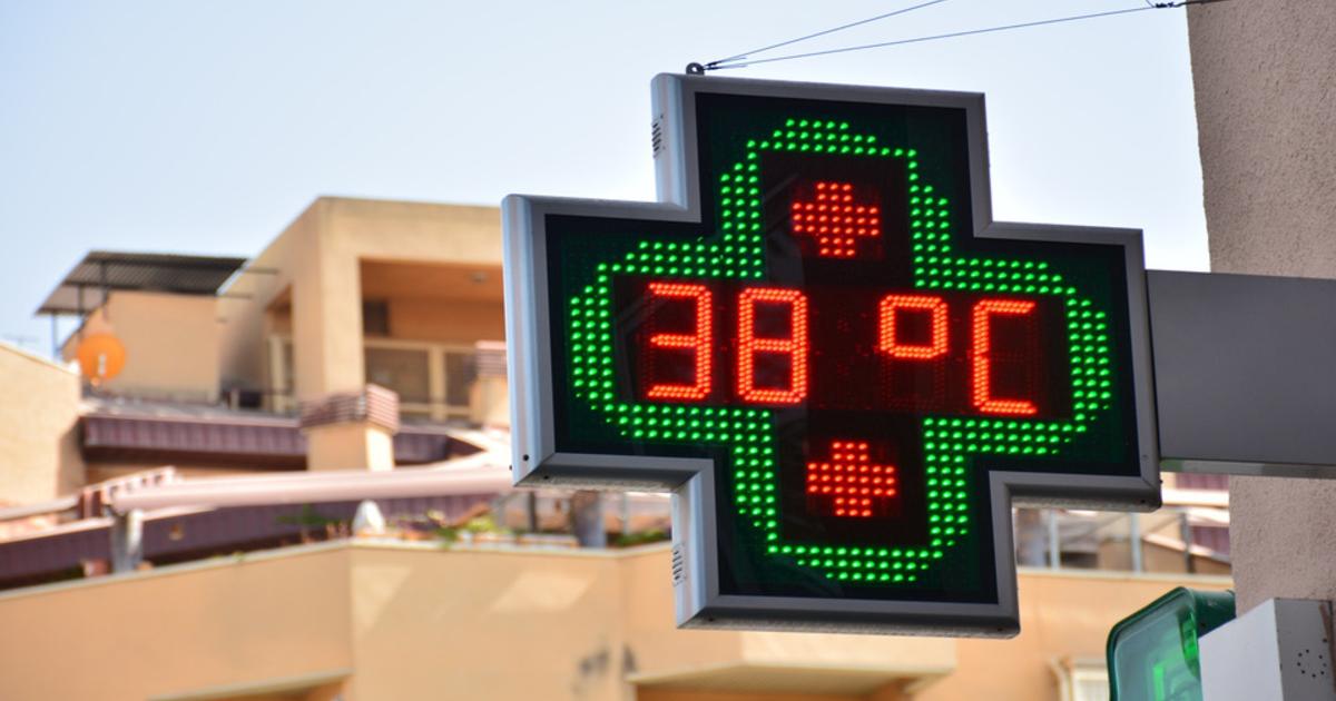 Canicule 2026 : plus de 8 000 décès en excès en France cet été