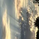 La Seyne-sur-Mer 17/09/2026