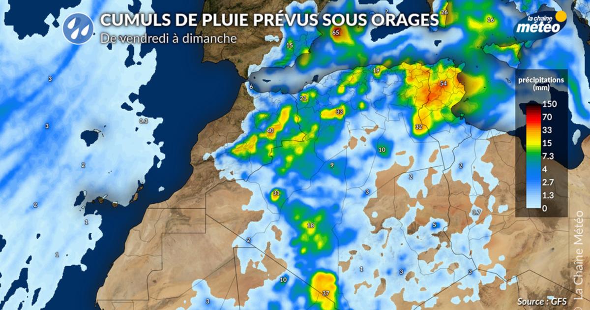 Tunisie : des orages diluviens provoquent des inondations autour de Tunis