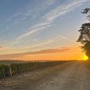 Celles-sur-Ource 19/09/2026