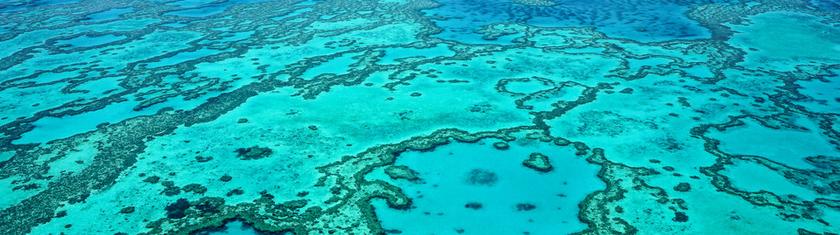 Australie : pourquoi octobre est l’un des meilleurs mois pour découvrir la Grande Barrière de corail