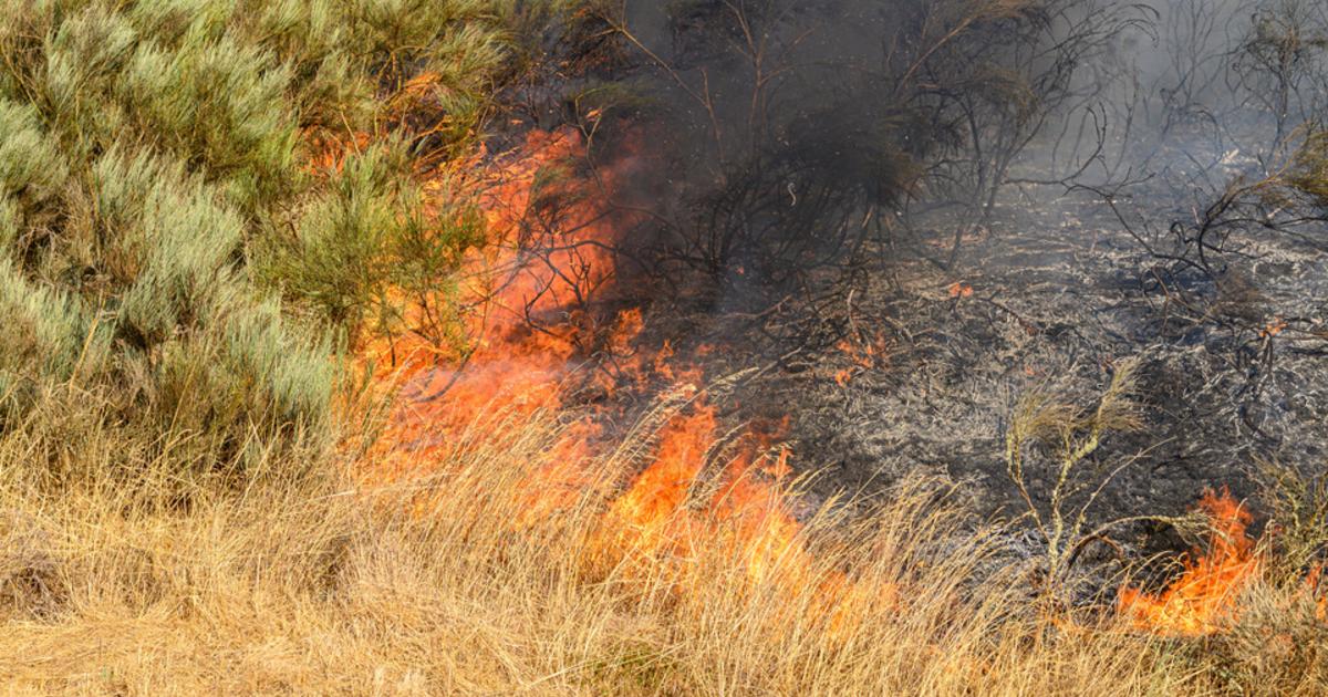 Vagues de chaleur en Europe : les émissions de CO₂ récentes ont déjà un effet mesurable