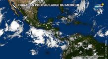 Ouragan Polo : la Basse-Californie menacée par de fortes pluies et une houle dangereuse
