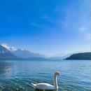 Annecy 27/09/2026