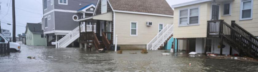 VIDÉO – Un requin filmé en pleine rue après de violentes inondations dans le New Jersey