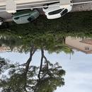 Cannes 01/10/2026