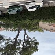 Cannes 01/10/2026