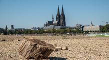 Été 2026 en Europe : plus de la moitié du continent touchée par un stress thermique record