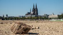 Été 2026 en Europe : plus de la moitié du continent touchée par un stress thermique record