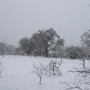 Breuilaufa 28/11/2010