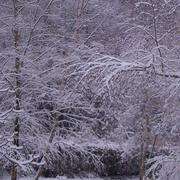 Druy-Parigny 28/11/2010