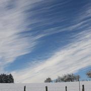 Velleguindry-et-Levrecey 29/11/2010