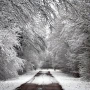 Châtillon-sur-Seine 28/11/2010